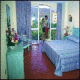 Real Bananas Hotel Picture 
