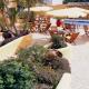 Costa D'Oiro Ambiance Village Hotel Picture 