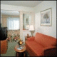 Springhill Suites International Drive Hotel Picture 