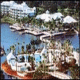 Marriott Cypress Harbour Hotel Picture 