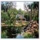 Westgate River Ranch Hotel Picture 