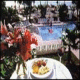 Tradewinds Island Grand Resort Hotel Picture 