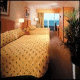 Royal Palm Miami Beach Hotel Picture 