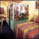 Comfort Inn Lake Buena Vista Hotel Picture 