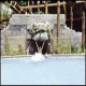 Sheraton Safari Resort Hotel Picture 