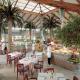 Eden Playa Hotel Picture 