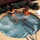 Radisson Phoenix Airport Hotel Picture 