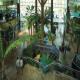 Flamingo Oasis Hotel Picture 