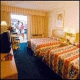Courtyard By Marriott Palm Parkway Hotel Picture 