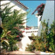 El Capistrano Hotel Picture 
