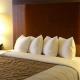 Holiday Inn On The Hill Hotel Picture 