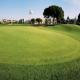 Vincci Costa Golf Hotel Picture 