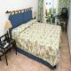 Conil Park Hotel Picture 