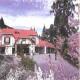 Sherwood Manor Hotel Picture 