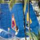 Golden Crown Paradise Hotel Picture 