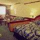 Fira Palace Hotel Picture 