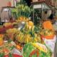 Justiniano Club Belek Hotel Picture 