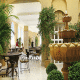 Denia Marriot Citrustherapy Special Offer- Hotel Picture 