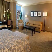 Rio Suite Hotel And Casino Picture 7