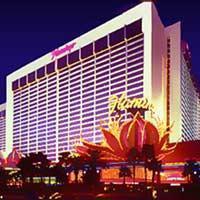 Flamingo Hotel Picture 1