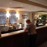 Flamingo Hotel Picture 8