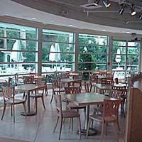 Flamingo Hotel Picture 7