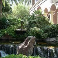 Flamingo Hotel Picture 12