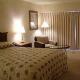 Flamingo Hotel Picture 