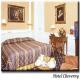 Cheverny Hotel Picture 