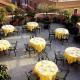 Marcella Royal Hotel Picture 