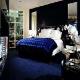 Sofitel Chicago Hotel Picture 