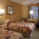 Comfort Inn And Suites Downtown Chicago Hotel Picture 
