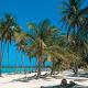 Barcelo Bavaro Palace Hotel Picture 