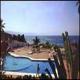 Tropicana Hotel Picture 