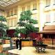 Shangri-La Hotel Picture 