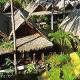 Duangjitt Resort Hotel Picture 