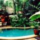 Daintree Cape Tribulation Heritage Lodge Hotel Picture 