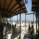 Fiesta Club Playa D'En Bossa Hotel Picture 