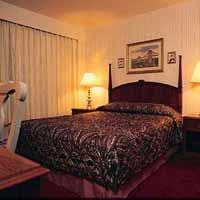 Best Western President Hotel Picture 3