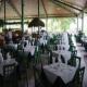 Barcelo Tambor Beach Hotel Picture 