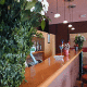 Country Hotel Borromeo (Linate Airport) Picture 