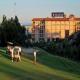 Iberostar Suites Hotel Islantilla Picture 
