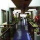 Suites Del Sol Hotel Picture 