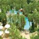 Coral De Mar Hotel Picture 