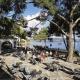 Cala Fornells Hotel Picture 