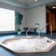 Accent Inns Burnaby Hotel Picture 