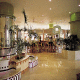 Ifa Continental Hotel Picture 