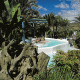 Ifa Continental Hotel Picture 