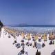 Ibersotar Alcudia Park Hotel Picture 