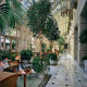 Fairmont Washington D.C. Hotel Picture 